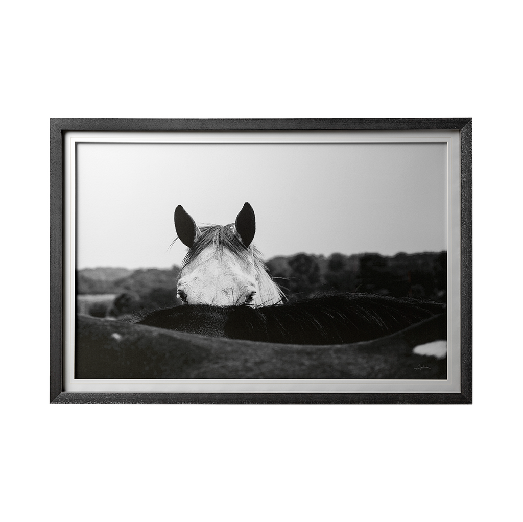 Impression encadrée Flirt