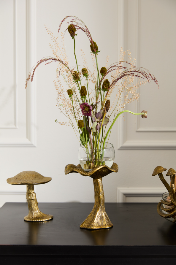 Jardinière à lichens